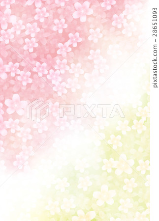 Sakura spring flower background 28651093