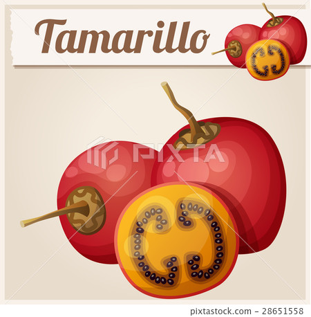 Tamarillo fruit. Cartoon vector icon Tamarillo fruit. Cartoon vector icon 28651558