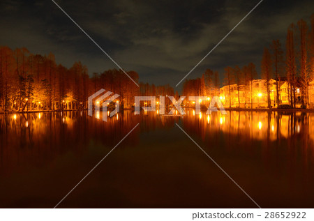 A separate elderly park at night A separate elderly park at night 28652922