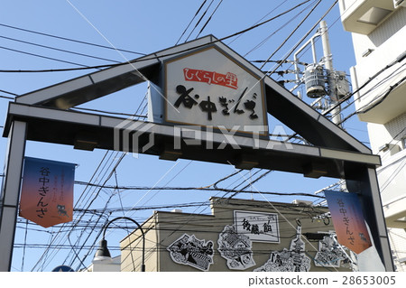 Yanaka Kinza 28653005