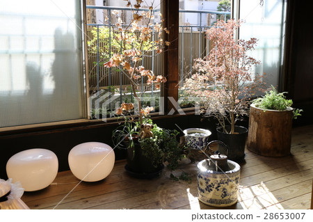 日本室內 28653007