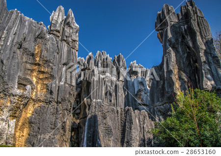 Kunming city stone forest 28653160
