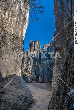 Kunming city stone forest 28653165