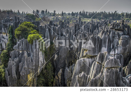 Kunming city stone forest 28653173