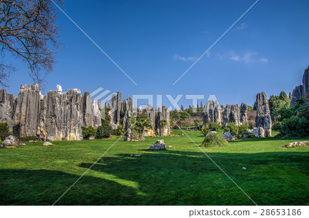 昆明市石林 昆明市石林 28653186