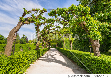 Landscape with Alley Park in Wurzburg Residence 28654497