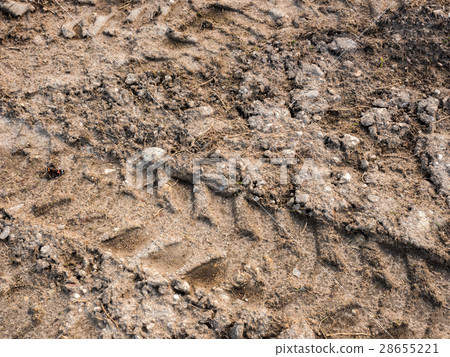 跟踪輪胎痕跡 28655221