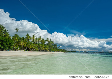 Tropical beach with palm trees at Philippines 28656676
