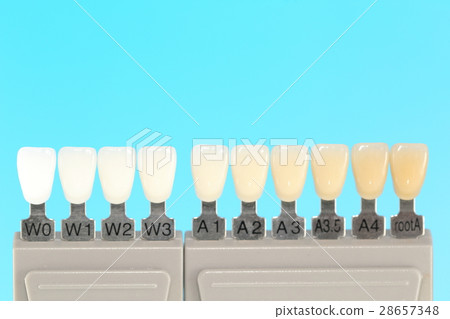 Whitening Shade Guide 3 28657348