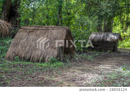 House of vedda people 28658124