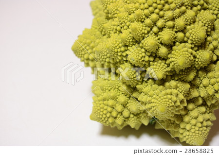 Romanesco 28658825