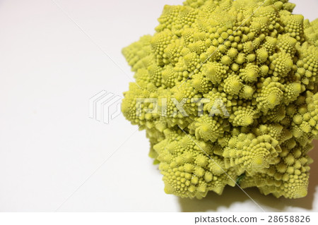 Romanesco Romanesco 28658826