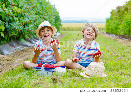 Two little friends, kid boys having fun on Two little friends, kid boys having fun on 28658964
