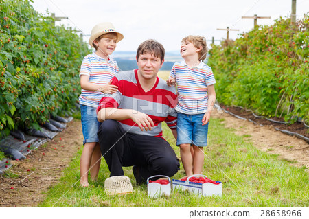 Two little kid boys and father having fun on Two little kid boys and father having fun on 28658966