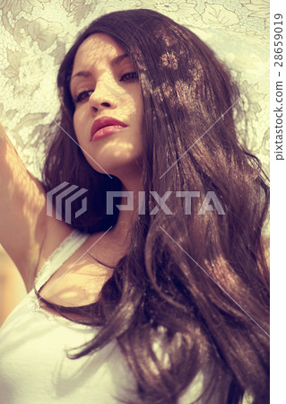 Sunlight through the lace 28659019