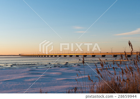 The Oland Bridge in Sweden The Oland Bridge in Sweden 28659944