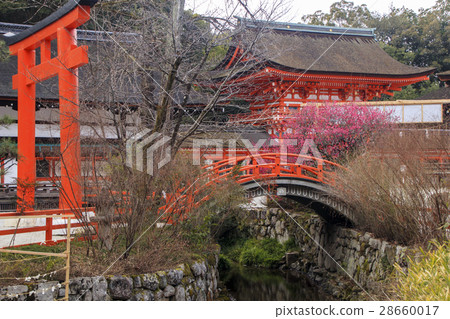 Shimogamo Shrine 28660017
