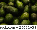 Avocados close up 28661038