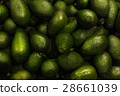 Avocados close up 28661039