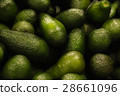 Avocados close up 28661096