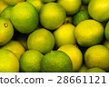 Limes 28661121