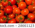 Red tomatoes 28661123