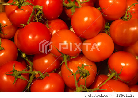 Red tomatoes Red tomatoes 28661123