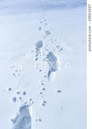 Winter background with footprints in the snow Winter background with footprints in the snow 28661697