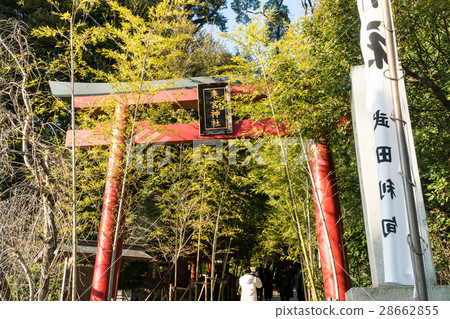 熱海湯宮神社(Kinomiya和新幹線) 熱海湯宮神社(Kinomiya和新幹線) 28662855