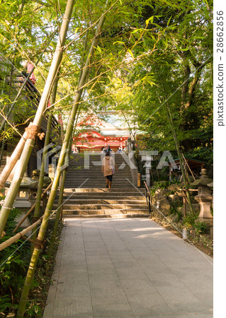 熱海湯宮神社(Kinomiya和新幹線) 熱海湯宮神社(Kinomiya和新幹線) 28662856