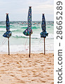 Beach parasol 28665289