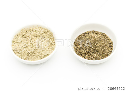 Atlantic Kelp: Atlantic kelp 28665622