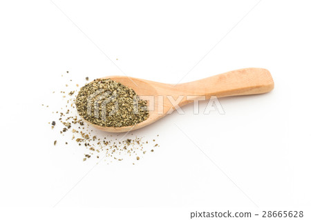 Atlantic Kelp: Atlantic kelp 28665628