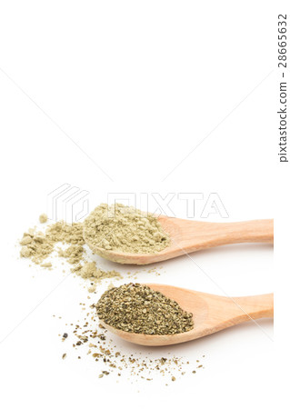 Atlantic Kelp: Atlantic kelp 28665632