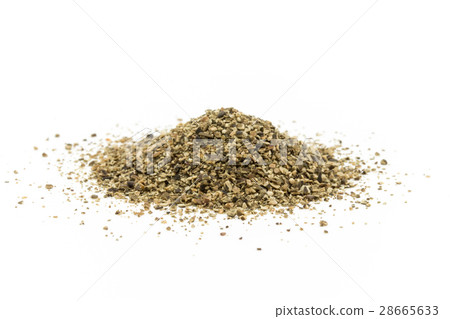 Atlantic Kelp: Atlantic kelp 28665633