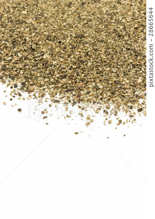 Atlantic Kelp: Atlantic kelp Atlantic Kelp: Atlantic kelp 28665644