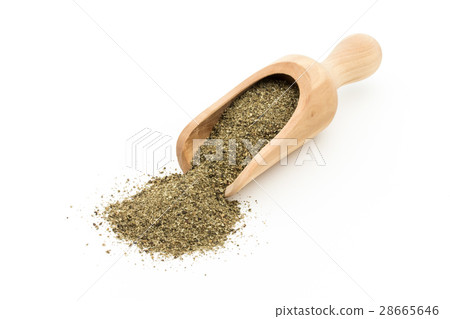 Atlantic Kelp: Atlantic kelp Atlantic Kelp: Atlantic kelp 28665646