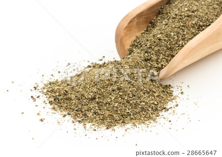 Atlantic Kelp: Atlantic kelp Atlantic Kelp: Atlantic kelp 28665647