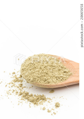 Atlantic Kelp: Atlantic kelp Atlantic Kelp: Atlantic kelp 28665658