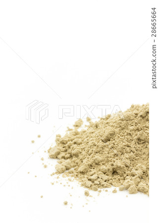 Atlantic Kelp: Atlantic kelp 28665664