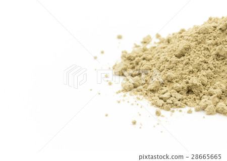 Atlantic Kelp: Atlantic kelp Atlantic Kelp: Atlantic kelp 28665665