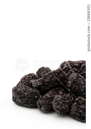 幹黑棗：黑棗棗 28666301