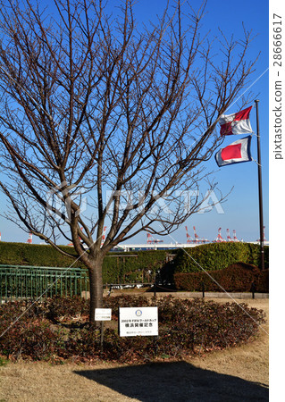 可以看到橫濱·港口的山公園 可以看到橫濱·港口的山公園 28666617