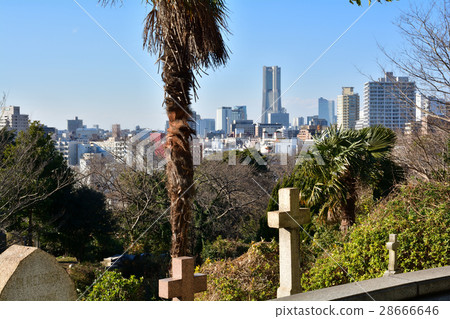 Yokohama / Foreign Cemetery Yokohama / Foreign Cemetery 28666646