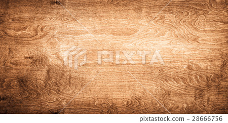 Wood Texture Background 28666756