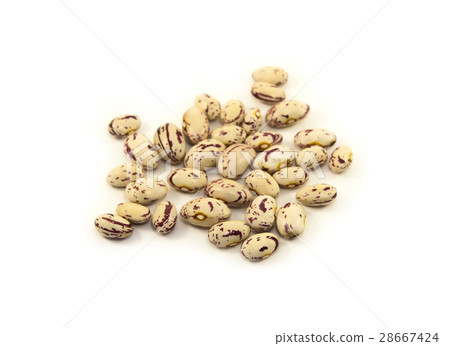 Beans 28667424