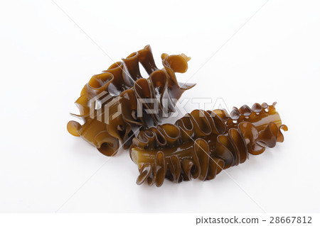 Mekabu Seaweed 28667812