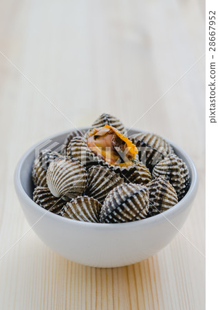 steamed blanched clams in white bowl background steamed blanched clams in white bowl background 28667952