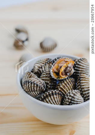 steamed blanched clams in white bowl background steamed blanched clams in white bowl background 28667954