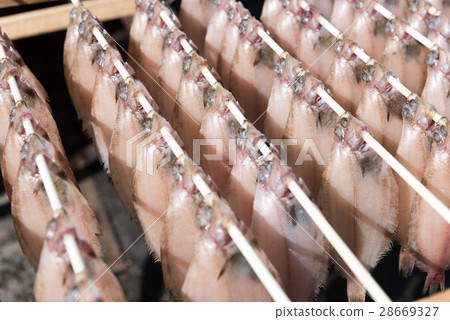 Willow curry overnight dried 28669327